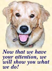 [PHOTO: Dog]